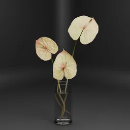 Anthurium Glass Vase Minimal
