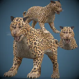 Game-Ready Realistic Jaguar (Leopard)