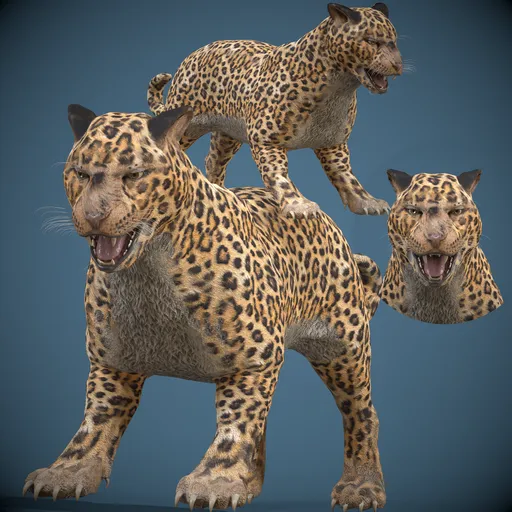 Game-Ready Realistic Jaguar (Leopard)