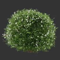 Spherical Flowering Bush Plant AQ