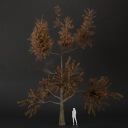 SJ-Dried Timber Pine Tree