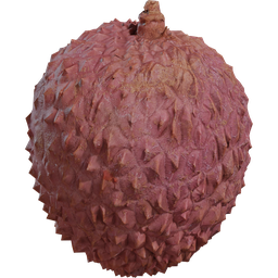 Highly detailed Blender 3D model of a lychee fruit with textured skin.
