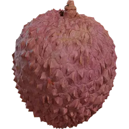 Food Lychee 01