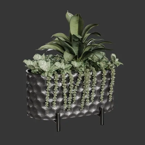 Flower Box