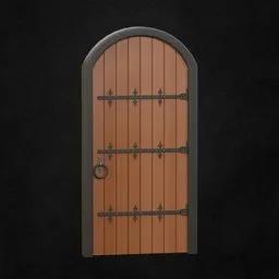 Medieval Door