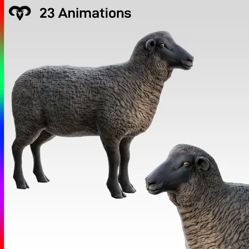 Sheep Female Animated