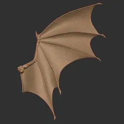 Scalloped Dragon Wing