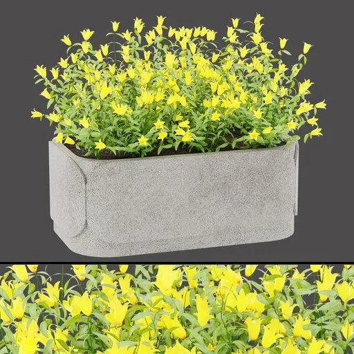 Golden Campanula Planter