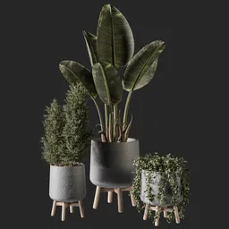 Detailed 3D plant models in modern vases, optimized for Blender rendering.