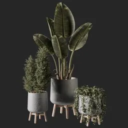 Plant set