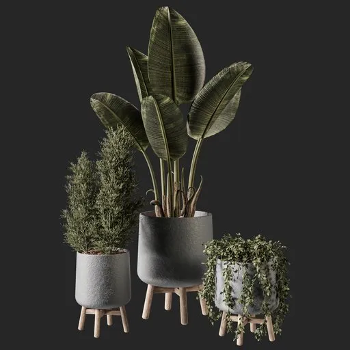 Detailed 3D plant models in modern vases, optimized for Blender rendering.