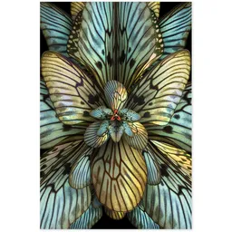 Mimesis Magnolia Astonish Carpet