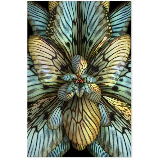 Mimesis Magnolia Astonish Carpet