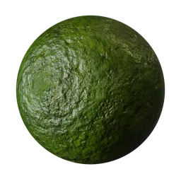 Fresh Cucumber