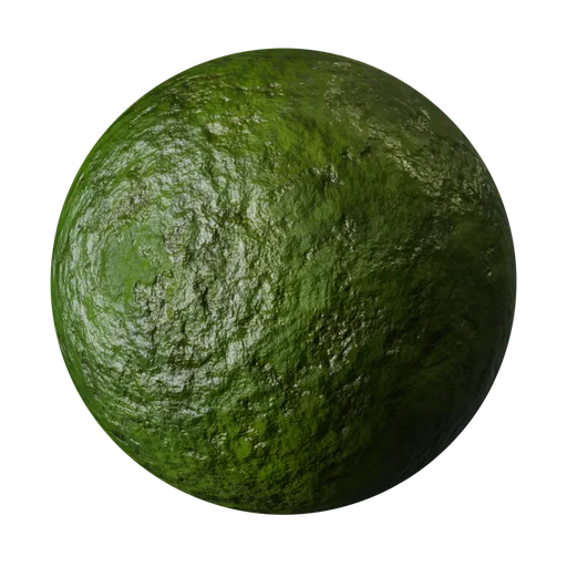Fresh Cucumber