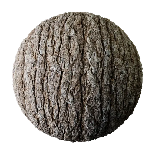Tree Bark