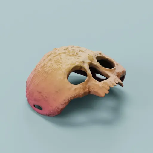 Mask