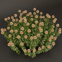 SJ-Graceful Petal Bush