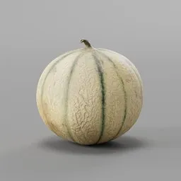 Highly detailed 3D melon model with textures, suitable for Blender rendering and photorealistic visualization.