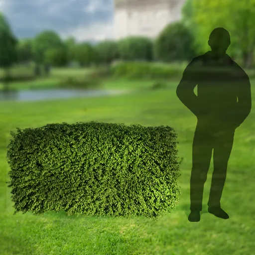 Detailed high-resolution 3D bush model for Blender, ideal for architectural visualization and garden design.