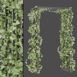 Ivy Covered Arch