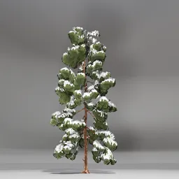 Snow Pine Toon Tree