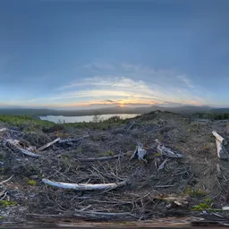 Mountain Bluesky Sunset Dry Tree