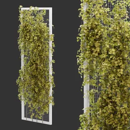 Fence Ivy Autumn Plant AQ