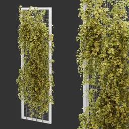 Fence Ivy Autumn Plant AQ