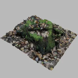 Mossy tree stump with mushrooms on top