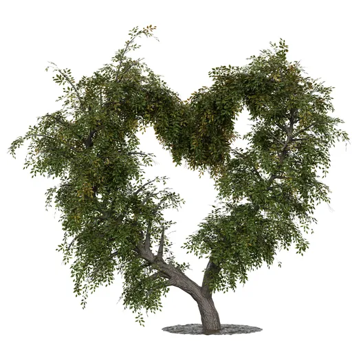 Low Poly Heart-Shaped Autumn Tree