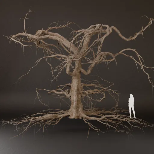 SJ-Weathered Tree Without Foliage