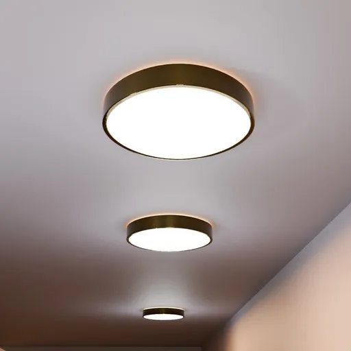 Ceiling light