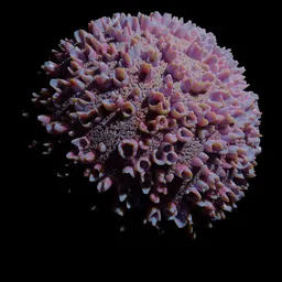 High-resolution realistic coral rock material for Blender 3D, requiring advanced settings and a powerful PC.
