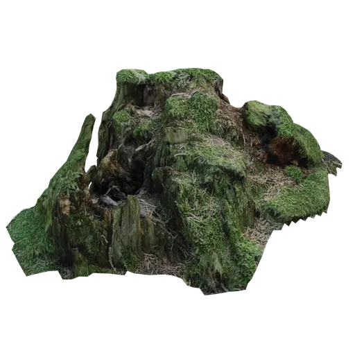 Stump covered by moss 3D Scanned