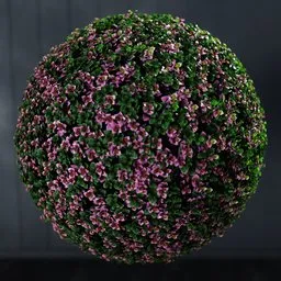 "Artificial ball Pachysandra plant for Blender 3D - detailed and realistic 3D model with green leaves and pink blooms on black surface. Ideal for nature-indoor scenes and planters, with geometry nodes created using Bagapie addon for Blender 3D."