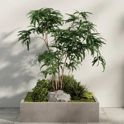 Minimal Courtyard Planter Tree