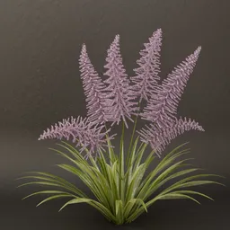 SJ-garden beautiful Bloom