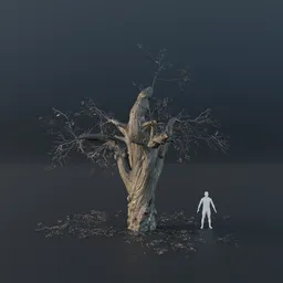 Oak Tree - Ancient (Winter)