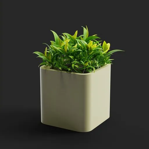 Pot Bush