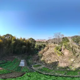 Green tree mountain cloud bluesky