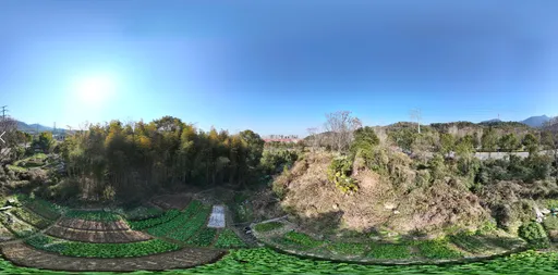 Green tree mountain cloud bluesky