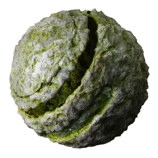 Granite Rock Moss
