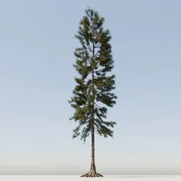 Detailed 3D conifer model with textured foliage and intricate root system designed for Blender rendering.