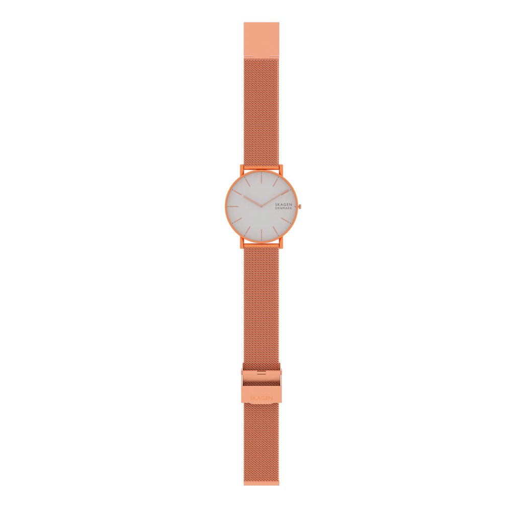 SKAGEN Analogue Watch with Metal Strap | Clocks models | BlenderKit