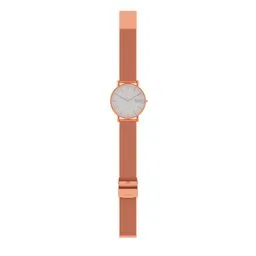 SKAGEN Analogue Watch with Metal Strap