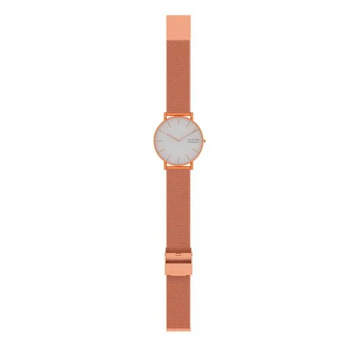 SKAGEN Analogue Watch with Metal Strap