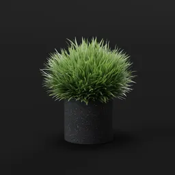 Decorative Potted Grass Plant