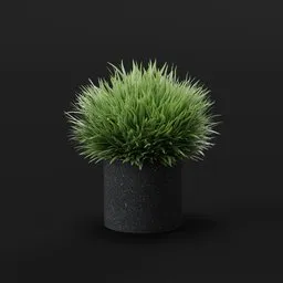 Decorative Potted Grass Plant