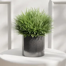 Decorative Potted Grass Plant